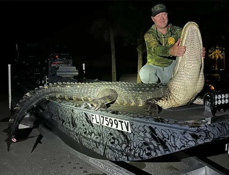 guided gator hunt near orlando